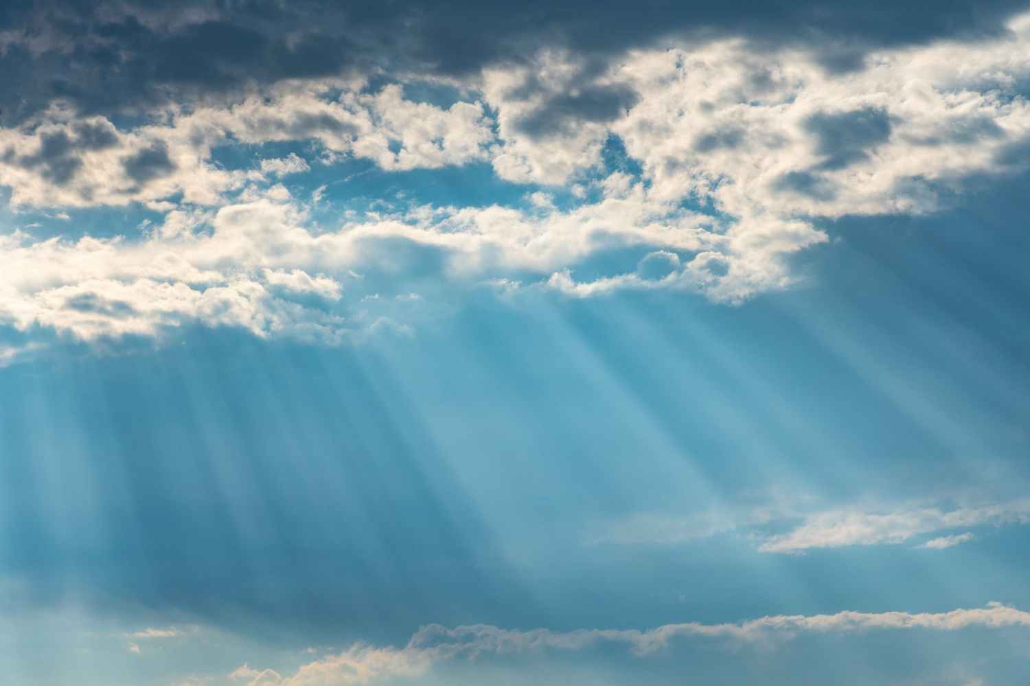 Look Forward to His Appearing. – Open The Light Studies